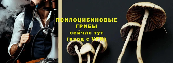 спиды Алексин