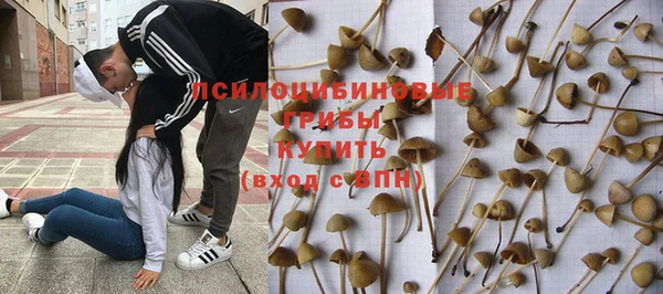 мет Абинск