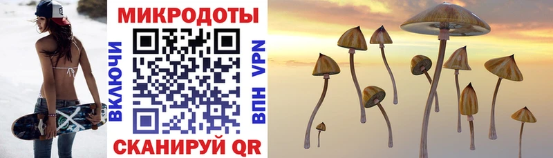 Псилоцибиновые грибы Psilocybe  KRAKEN зеркало  Щёлкино 